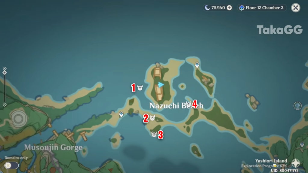 Distruggere tutti e quattro gli accampamenti nemici a Nazuchi Beach