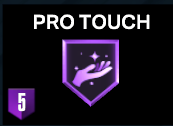 Distintivo Pro Touch