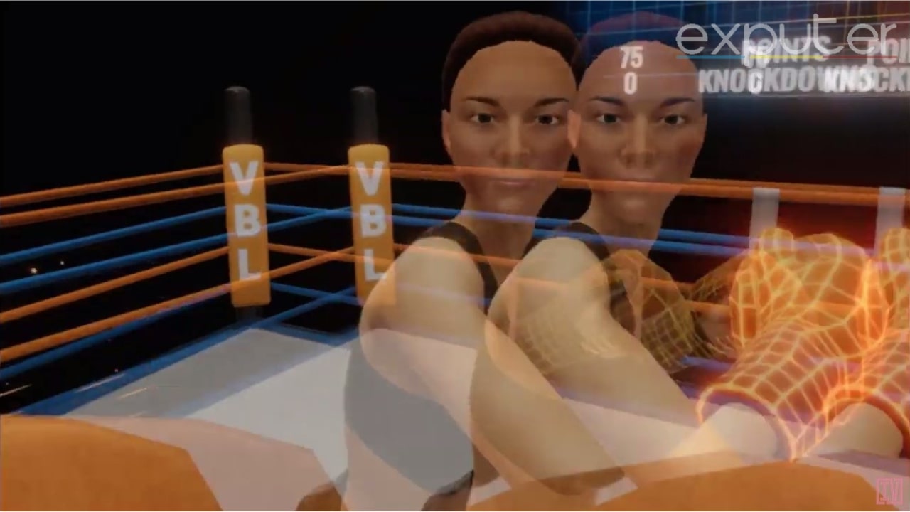 Gameplay della Virtual Boxing League