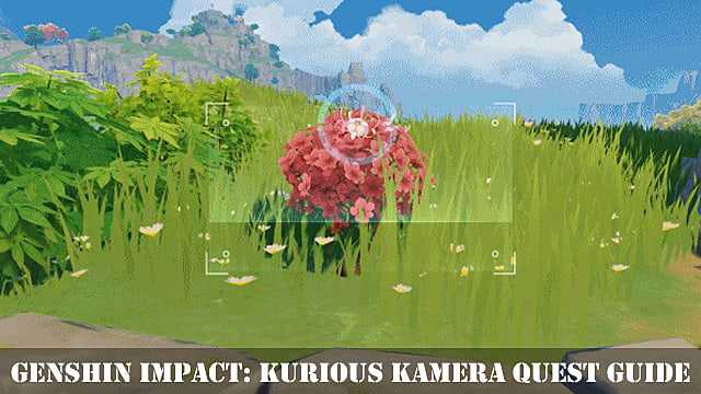 Genshin Impact Kurious Kamera Quest Guide: How to Get a Fortune Trove