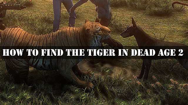Come trovare la tigre in Dead Age 2