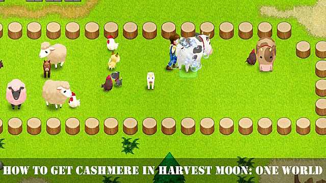 Harvest Moon: One World - Come ottenere cashmere