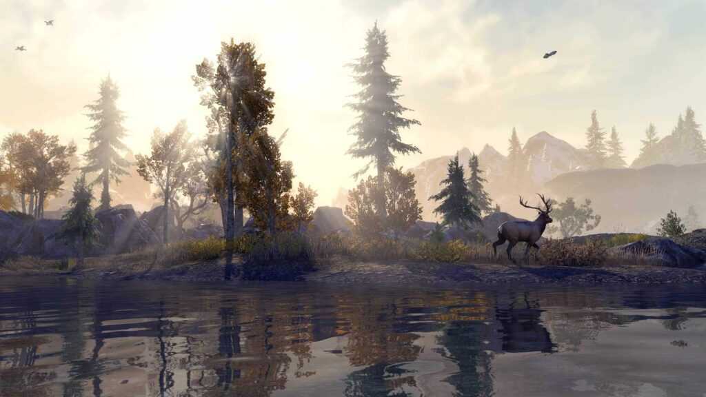 Elder Scrolls Online: Console Enhanced in arrivo su PS5 e Xbox Series X / S a giugno