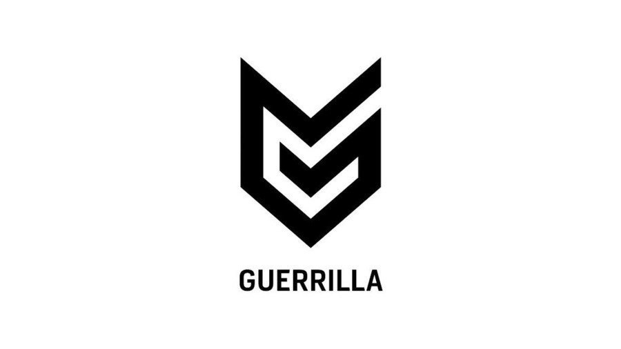 Guerrilla Games Guida Sony PlayStation First-Party Studios 1