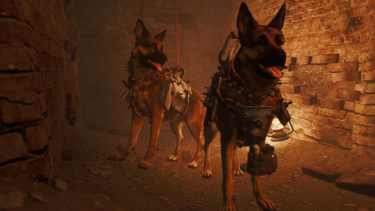 Xbox dona a Humane Society in onore di Dogmeat nella vita reale