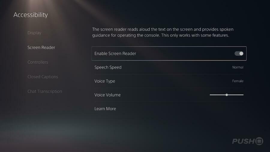 Lettore dello schermo di aggiornamento del firmware di PS5 PlayStation 5