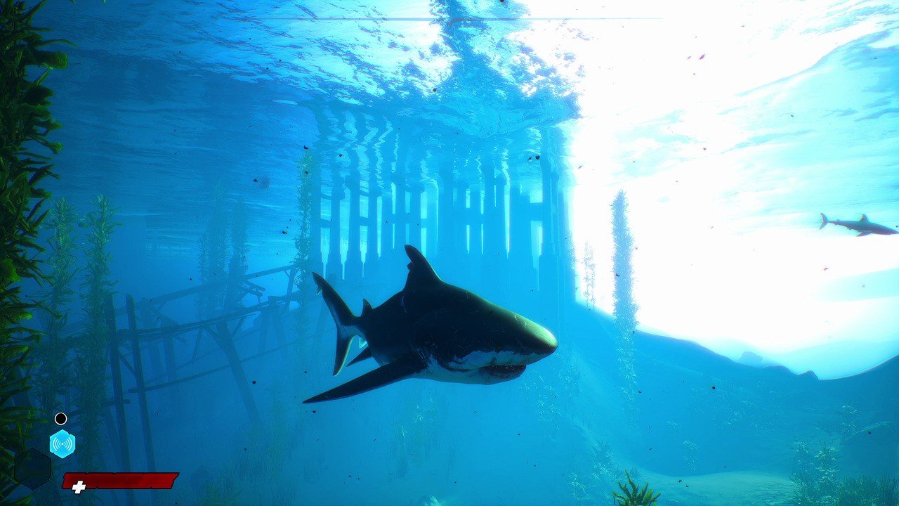 Il gioco d'azione Shark Maneater brilla con l'aggiornamento Ray Tracing su PS5
