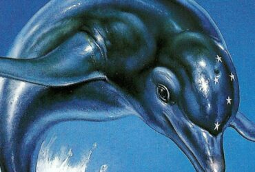 Potrebbe essere imminente un nuovo gioco che coinvolga Ecco the Dolphin?