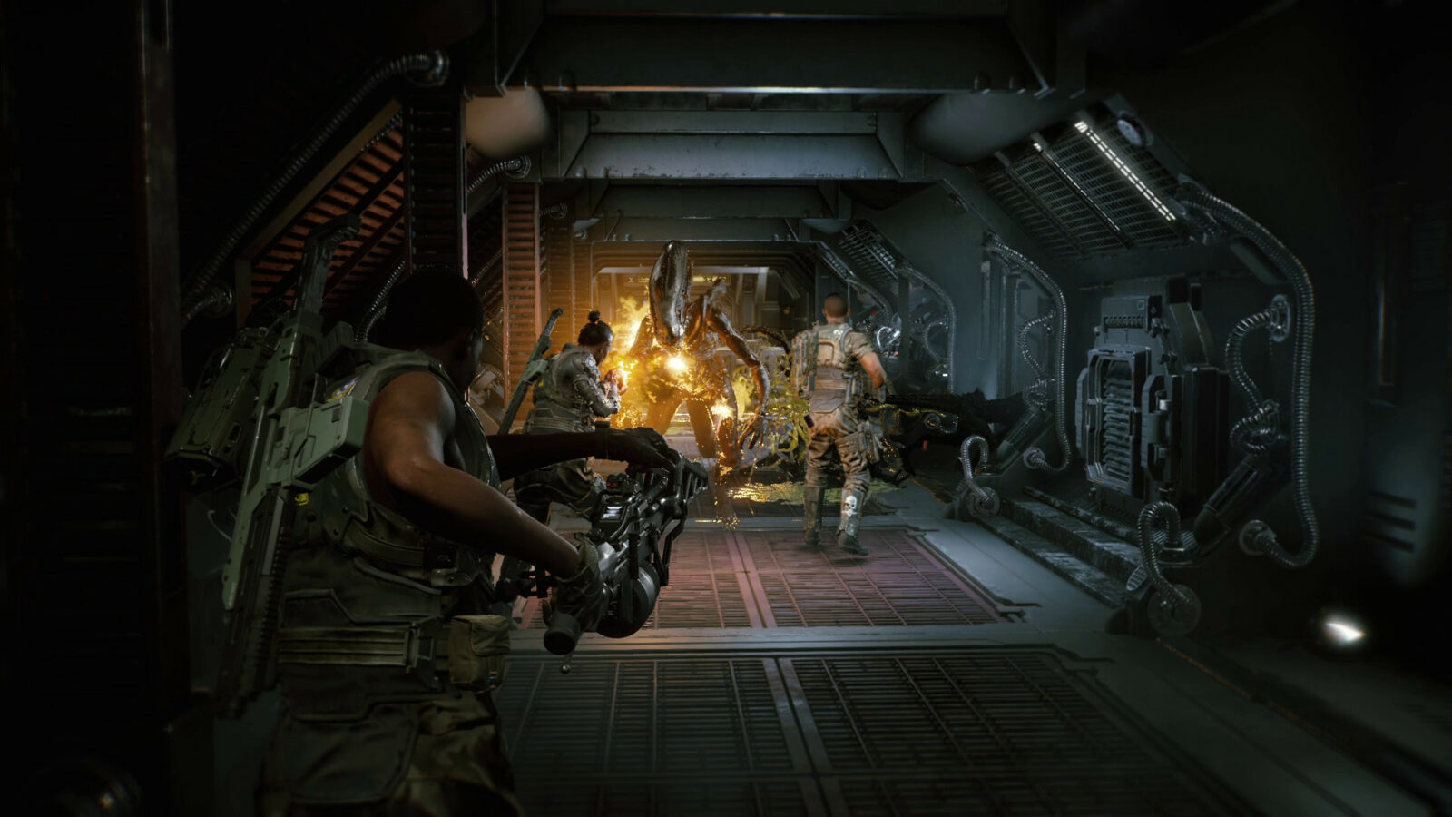 Aliens: Fireteam Elite Stagione 4 aggiunge prestigio e gioco incrociato