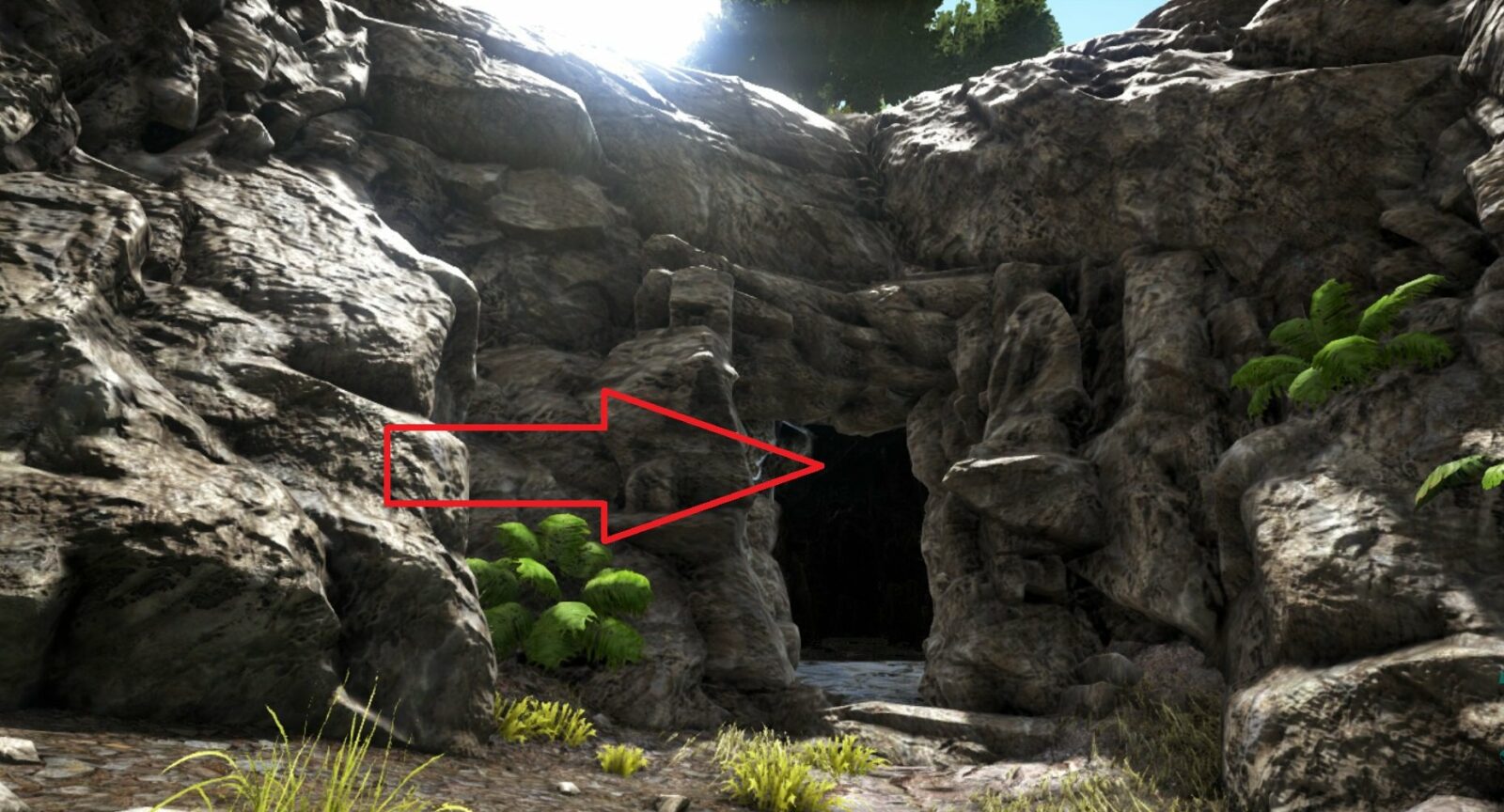 Grotte dell'Arca