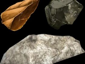 Selce, metalli e rocce nella mappa delle risorse dell'isola perduta di Ark.