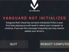 Vanguard non inizializzato”.